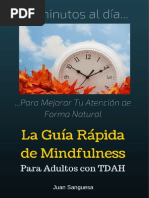 Mindfulness Para Adultos Con TDAH