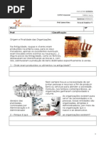 Ficha de Trabalho Nº7 - Origem e Finalidade Das Organizações
