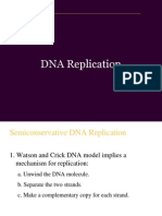 DNA Replication