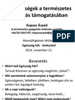 Termeszetes Gyogyulas PDF