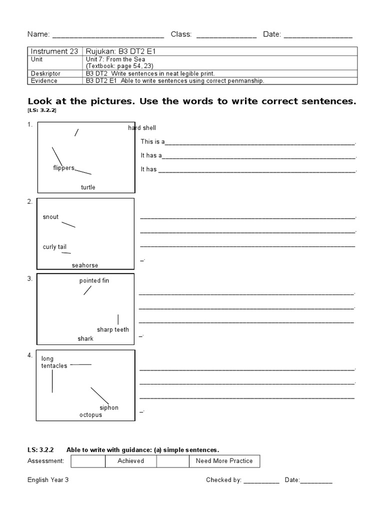 Look at The Pictures. Use The Words To Write Correct Sentences | PDF | Home  & Garden