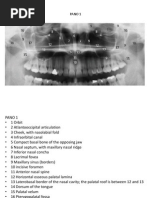 CBCT Anatomy Overview | PDF