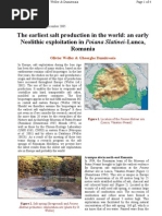 Yoshlar dacha jinsiy aloqada