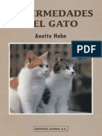 Animales - Enfermedades Del Gato