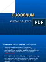 Anatomi Duodenum