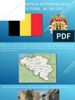 Potentialul Etnocultural - Belgia