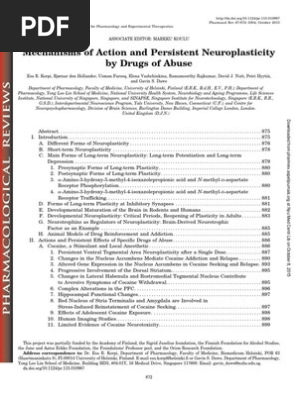 Mechanism Of Brain Changes In Addiction Long Term - 