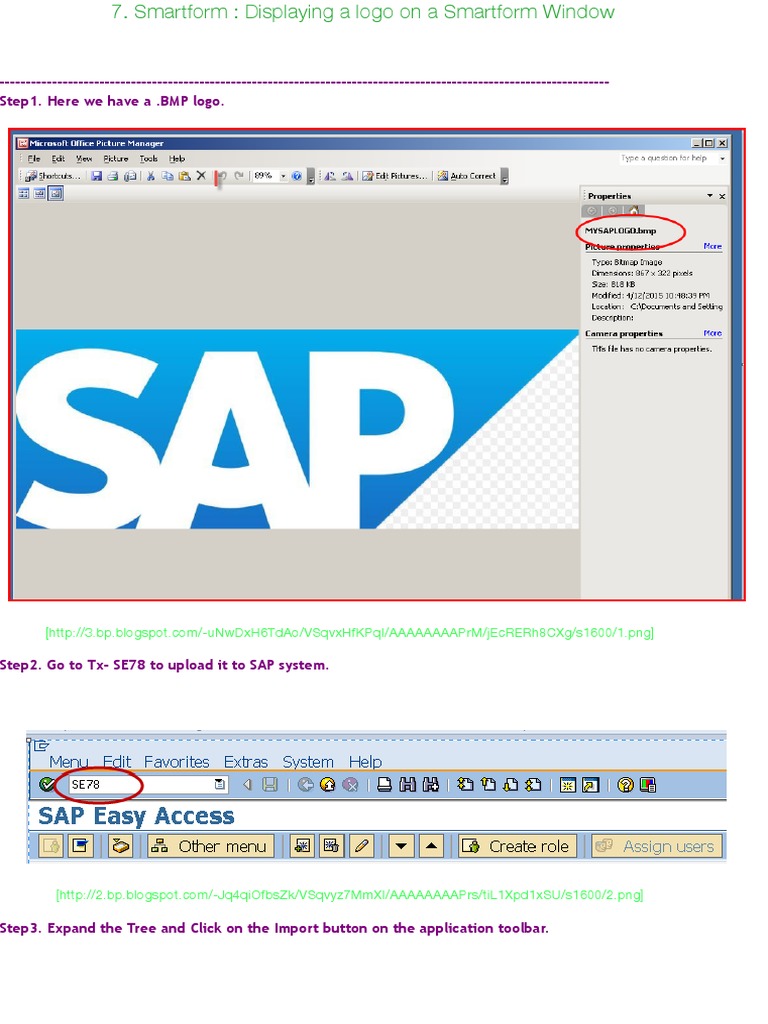 Smartform: Displaying A Logo On A Smartform Window | PDF