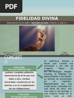 Fidelidad Divina