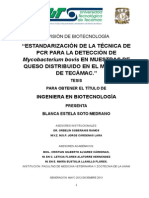 Estandarización de La Técnica de PCR