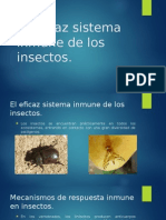 El Eficaz Sistema Inmune de Los Insectos