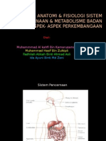 Anatomi & Fisiologi Sistem Pencernaan & Metabolisme Badan & Aspek-Aspek Perkembangaan