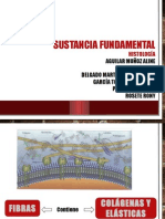 Sustancia Fundamental