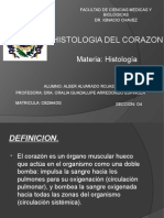 Histologia Del Corazon Exposicion