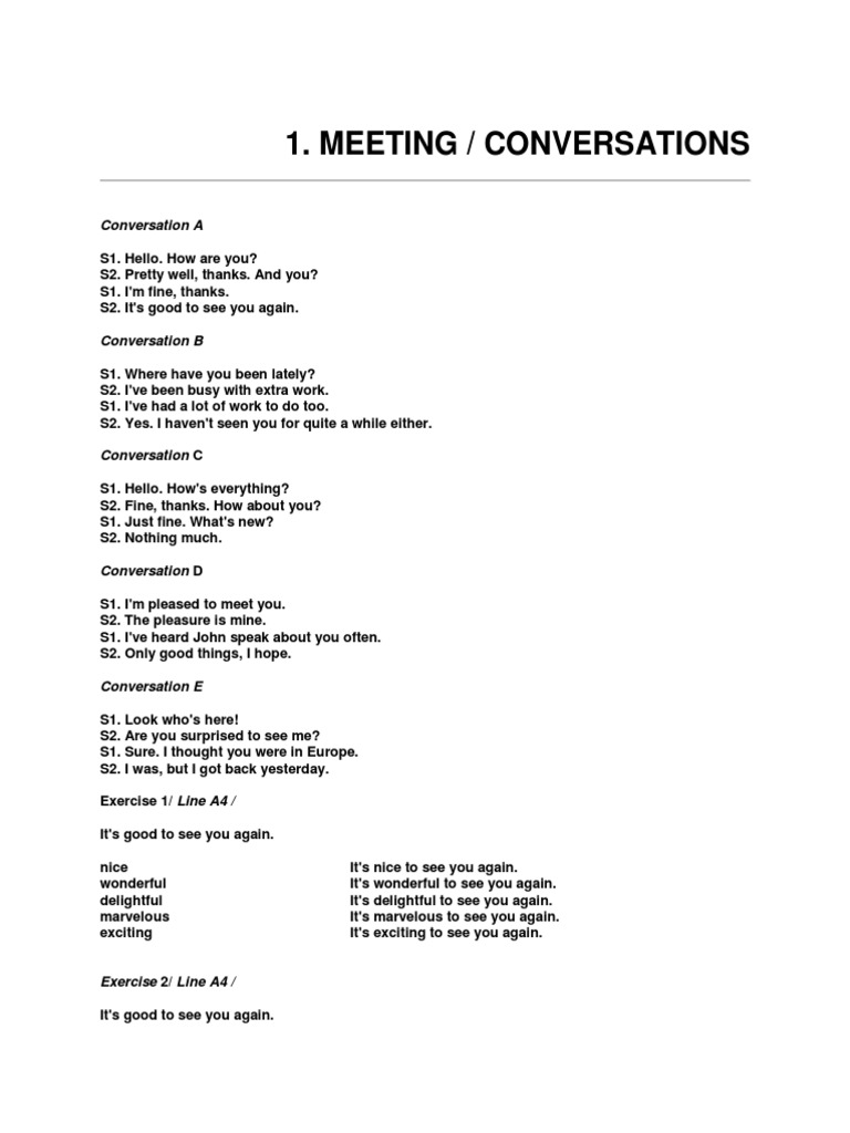 English Meeting Conversations Guide | PDF