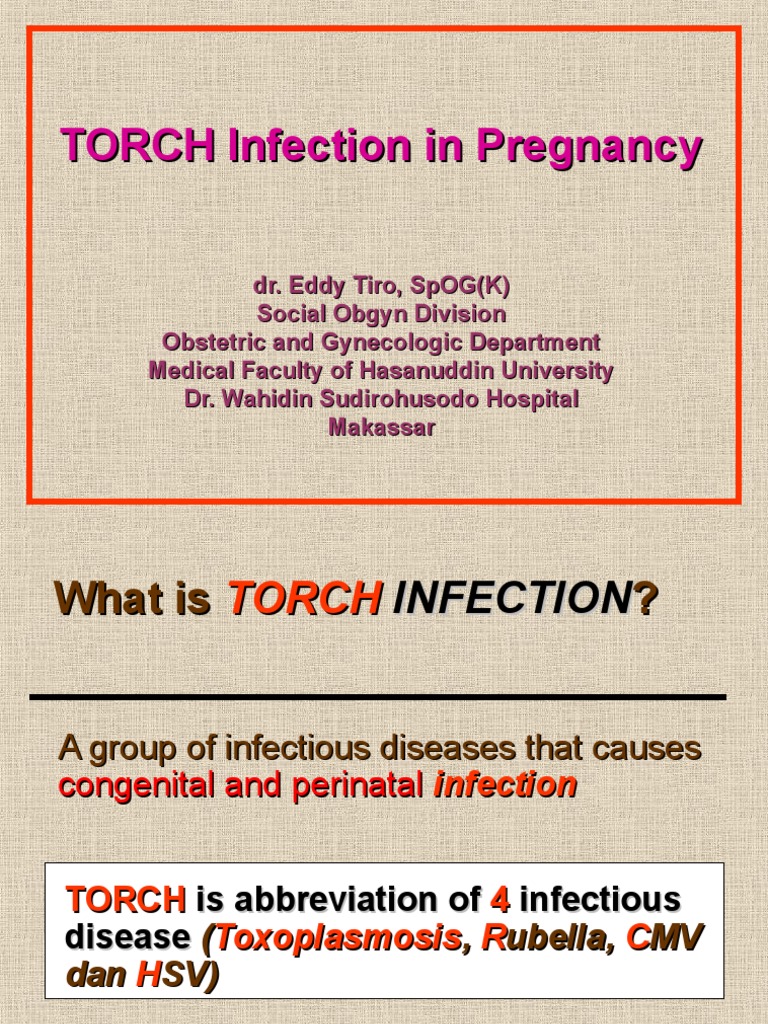 TORCH in Pregnancy | PDF | Herpes Simplex | Congenital Disorder