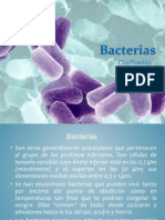 Clasificaccion Bacteriana