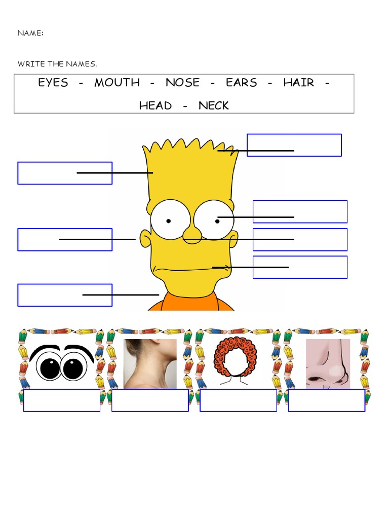 Facial Features List | PDF