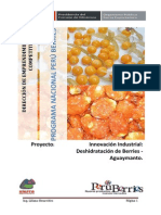 1108803-Proyecto Innovaci N Industrial Deshidrataci N de Berries Aguaymanto 2014 2015 PDF