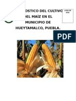 Diagnostico Del Cultivo de Maiz Huieytamalco.