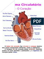 O Sistema Circulatório 1 Placard