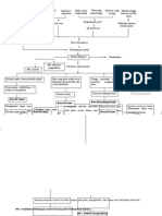 Patofisiologi Urolithiasis