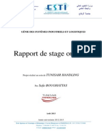 Rapport Boughattas PDF