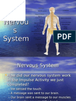 Nervous System.ppt