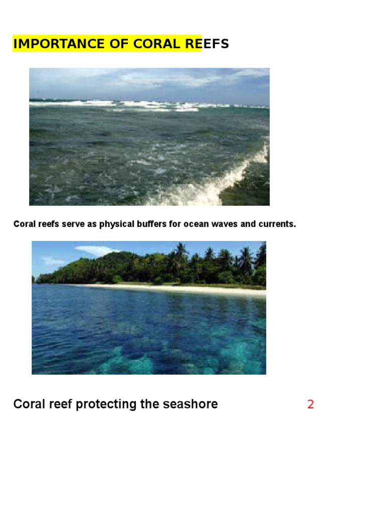 Coral Reefs Importance | PDF | Social Science