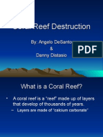 Crestwood_Coral_Reef_Destruction.ppt