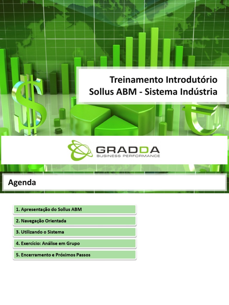Treinamento Introdutório - Guia v1 | PDF | Inteligência empresarial ...