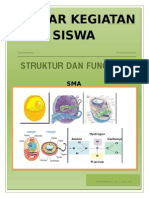 Lks Materi Sel