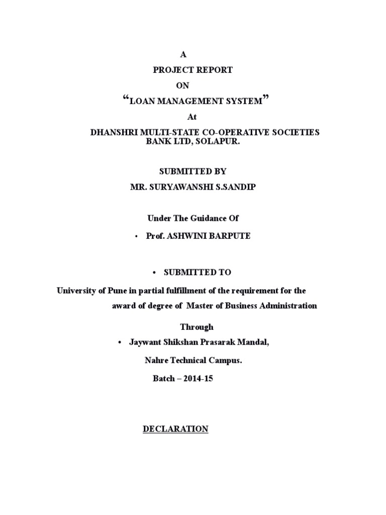 Loan Management System Pdf Banks Loans