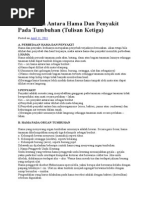 Download Perbedaan Antara Hama Dan Penyakit Pada Tumbuhan by Habiebs Achkmad SN284687750 doc pdf