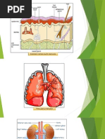 Penyahtinjaan Dan Perkumuhan Sains KSSR T4