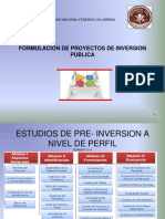 Formulacion de Pip