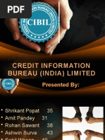 Credit Information Bureau (India) Limited