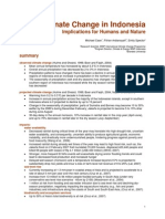 Inodesian Climate Change Impacts Report 14nov07