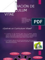 Elaboracion de Curriculum Vitae