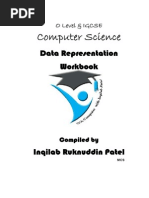 1.1 Data Representation Workbook by Inqilab Patel