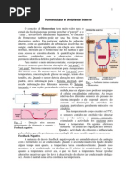 Homeostase e Ambiente Interno
