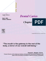 Chapter 013 dental caries carii 