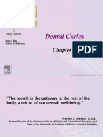 Chapter 013 Dental Caries Carii