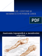 Prezentare Anatomie 9