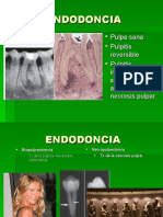 1 Anatomía Interna Del Organo Dentario