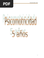 Psicomotricidad 5 Años