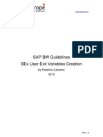 BEx User Exit Variables1