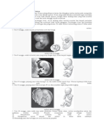 Fertilisasi Dan Perkembangan Embrio