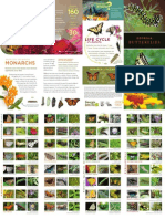 Butterfly Brochure pf5