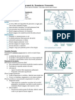 Programul de Reanimare Neonatologie